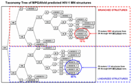 Taxonomy Trees