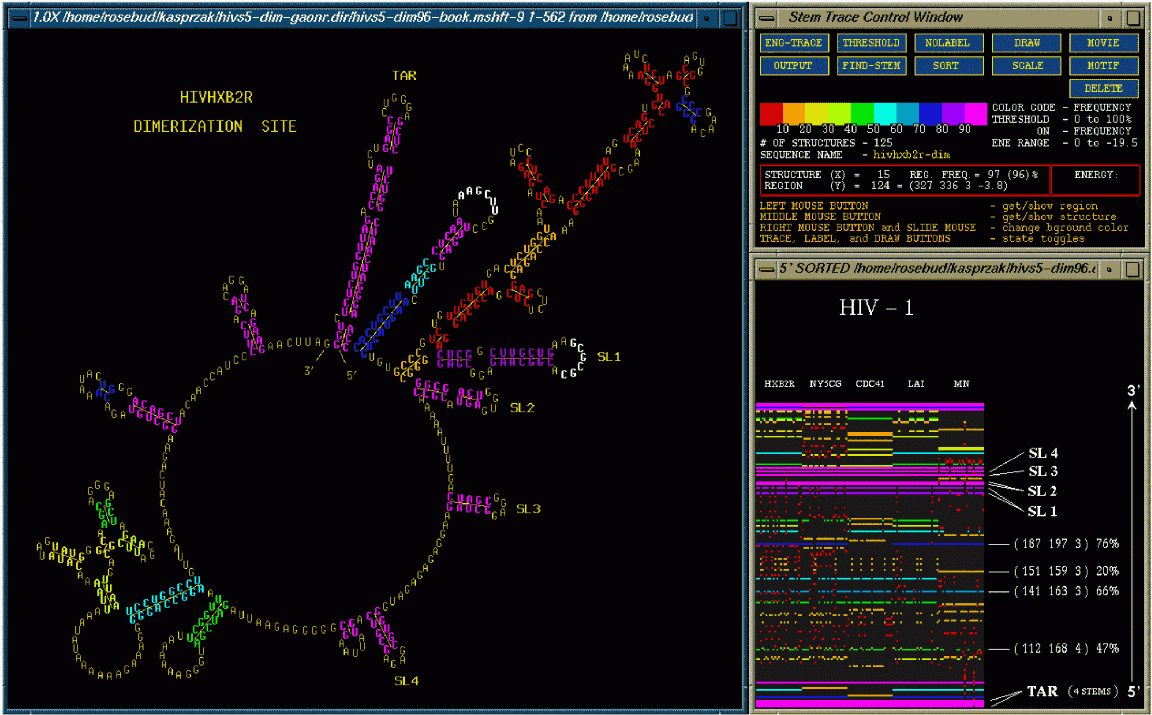 Stem Trace Control Window, Trace Window, 2D Structure Drawing