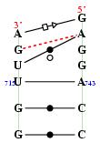 Hit refresh for a different example secondary structure of junction 6299