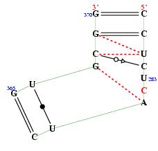 secondary structure of junction 7267